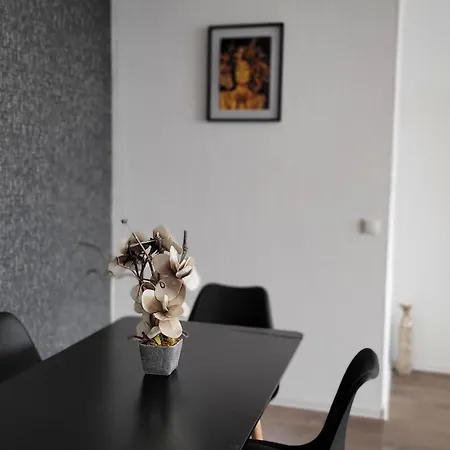 Lejlighed Grosse 3-zimmer Wohnung, Zentrale Lage. *