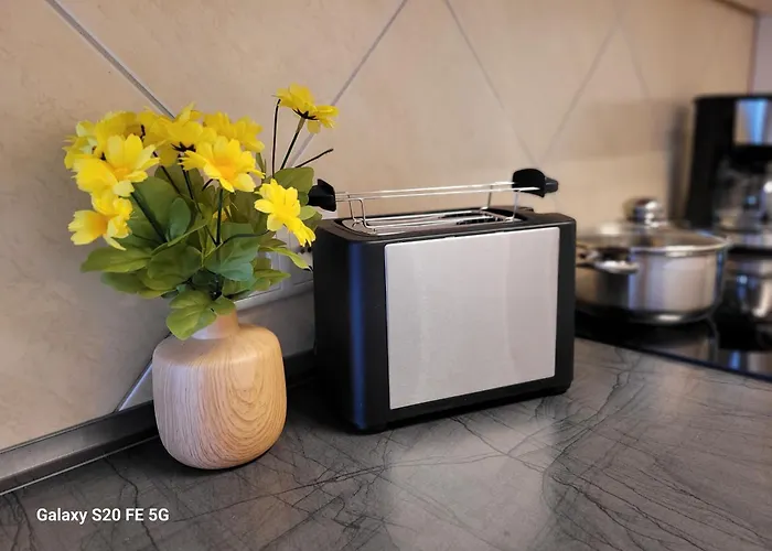 Appartement Grosse 3-zimmer Wohnung, Zentrale Lage.